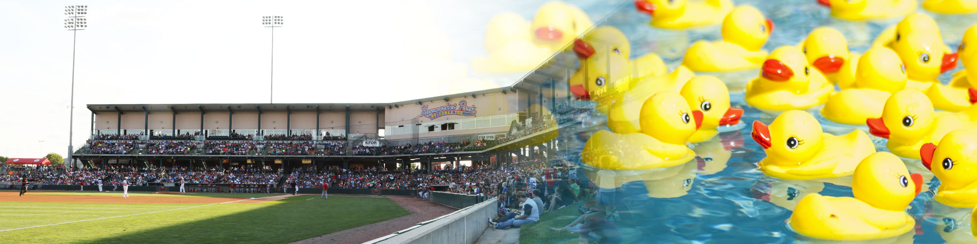 Lincoln Saltdogs - Duck Drawing