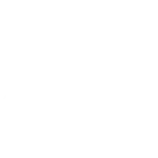 Budweiser